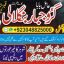 Black Magic Expert In Karachi +923048825000 Black Magic Expert In Rawalpindi 